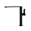Ramon Soler Kitchen baterie bucatarie pipa mobila negru mat