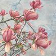 Tecnografica tapet baie Cristina Iotti Magnolia in Bloom