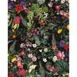 Devon & Devon tapet baie Botanica Dark