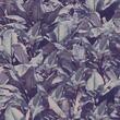 Devon & Devon tapet baie Costarica Purple