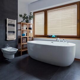 Calorifer portprosop Calima