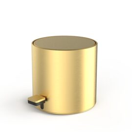 Decor Walther Contract Cos gunoi baie auriu mat  