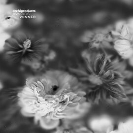 Devon & Devon tapet baie Blossom Black&White