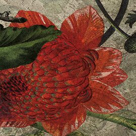 Devon & Devon tapet baie Botanica Grey Gold Leaf