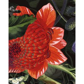 Devon & Devon tapet baie Botanica Dark