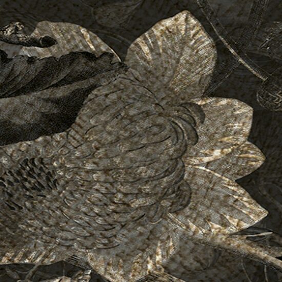 Devon & Devon tapet baie Botanica Black&White Antique Gold