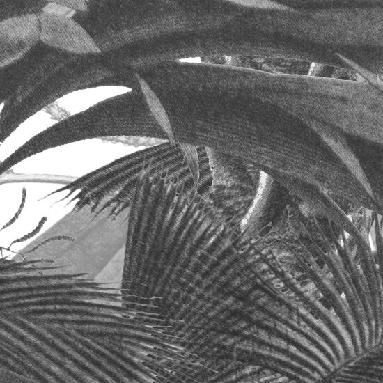 Devon & Devon tapet baie Casablanca Black&White