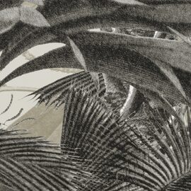 Devon & Devon tapet baie Casablanca Coffee