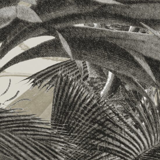 Devon & Devon tapet baie Casablanca Coffee