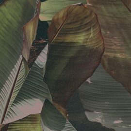 Devon & Devon tapet baie Costarica Petrol