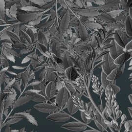 Devon & Devon tapet baie Giacarta Night