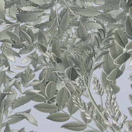 Devon & Devon tapet baie Giacarta Noon