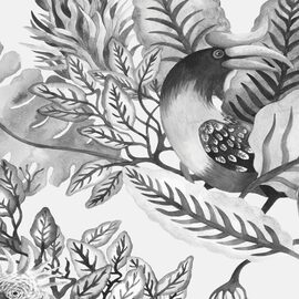 Devon & Devon tapet baie Rainforest 1 