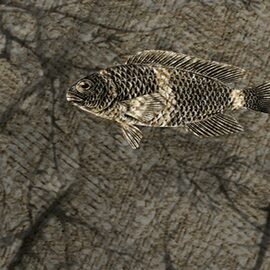 Devon & Devon tapet baie Samoa Black&White Antique Gold