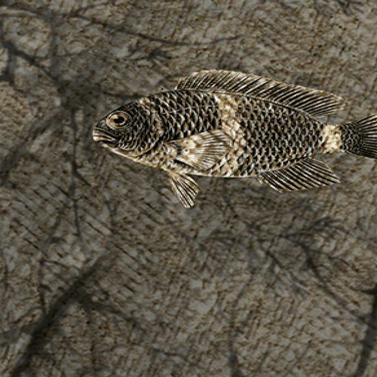 Devon & Devon tapet baie Samoa Black&White Antique Gold