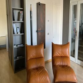 Calorifer portprosop vertical Rusty 