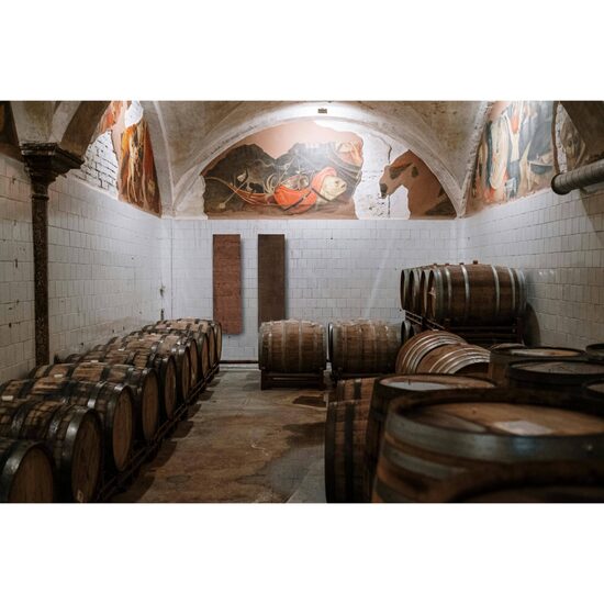 Calorifer decorativ vertical Ubriaaco